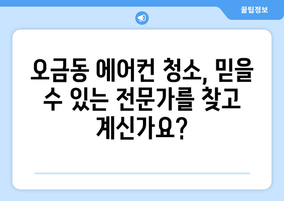 서울 송파구 오금동 에어컨 청소 전문 업체 추천 | 깨끗한 공기, 시원한 여름 맞이하세요!