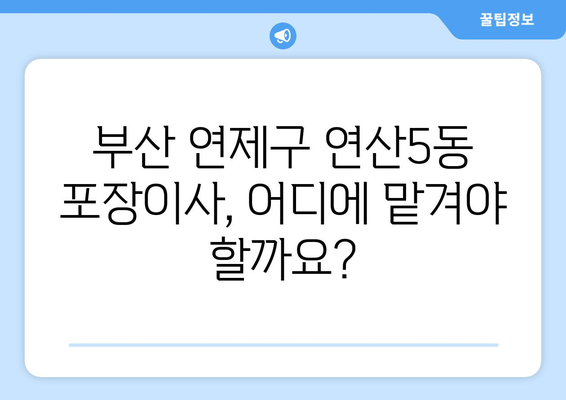 부산 연제구 연산5동 포장이사 전문 업체 추천 | 비용, 후기, 이삿짐센터 비교