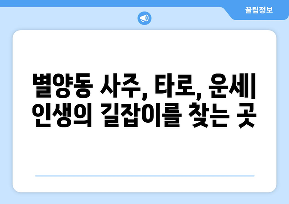 과천시 별양동에서 나에게 딱 맞는 사주 찾기| 유명한 사주/타로/운세 전문가 추천 | 과천, 별양동, 사주, 타로, 운세, 전문가, 추천