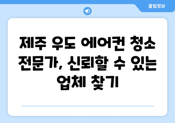 제주도 제주시 우도면 에어컨 청소| 전문 업체 추천 & 가격 비교 | 에어컨 청소, 제주도, 우도, 가격, 추천, 업체