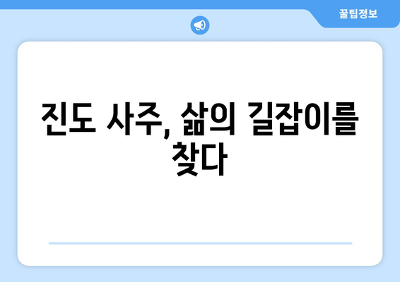 전라남도 진도군 군내면 사주 | 나의 운명과 미래를 알아보는 곳 | 진도 사주, 운세, 점집, 전통문화