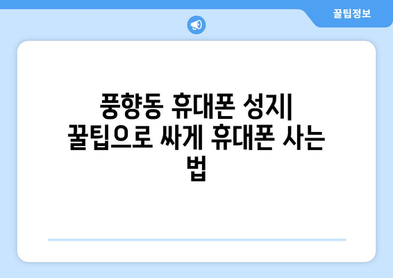 광주 북구 풍향동 휴대폰 성지 좌표| 최신 정보 & 추천 매장 | 휴대폰, 싸게 사는 법, 가격 비교