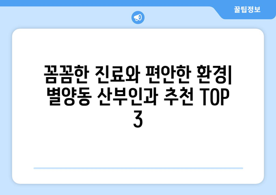 과천시 별양동 산부인과 추천| 꼼꼼하게 비교하고 선택하세요 | 과천 산부인과, 별양동 병원, 출산 준비, 여성 건강