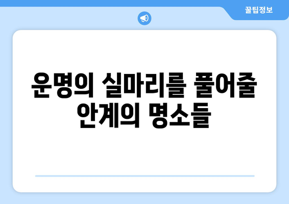 경상북도 의성군 안계면 사주| 유명한 사주 명소 & 추천 점집 | 의성, 안계, 사주, 운세, 점집, 추천