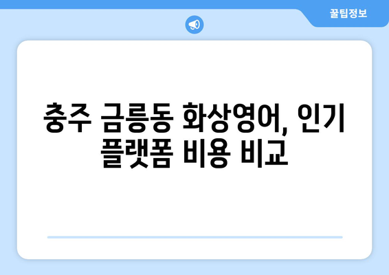 충주 금릉동 화상영어 비용 비교분석| 나에게 맞는 최적의 선택 | 화상영어, 비용, 추천, 가격 비교