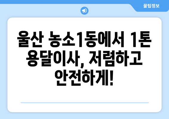 울산 북구 농소1동 1톤 용달이사| 가격 비교 & 업체 추천 | 울산 용달 이사, 1톤 용달, 저렴한 이사 비용