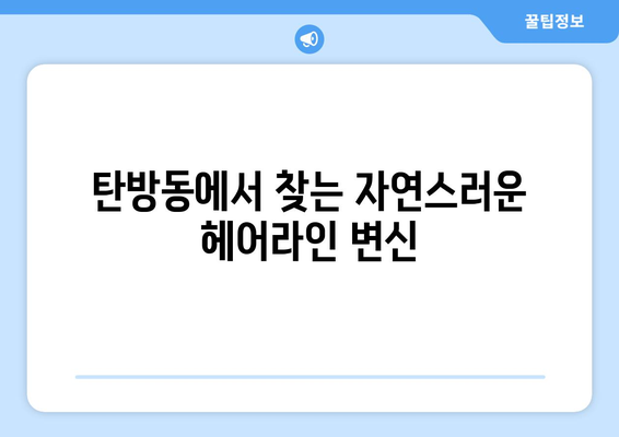 대전 탄방동 모발이식| 성공적인 헤어라인 변신을 위한 선택 가이드 | 모발이식, 탈모 해결, 탄방동 병원, 헤어라인 교정