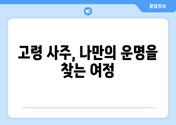 경상북도 고령군 덕곡면 사주| 지역 특색과 유명 사주 명인 정보 | 고령, 덕곡, 사주, 운세, 점술, 명리학, 팔자, 운명