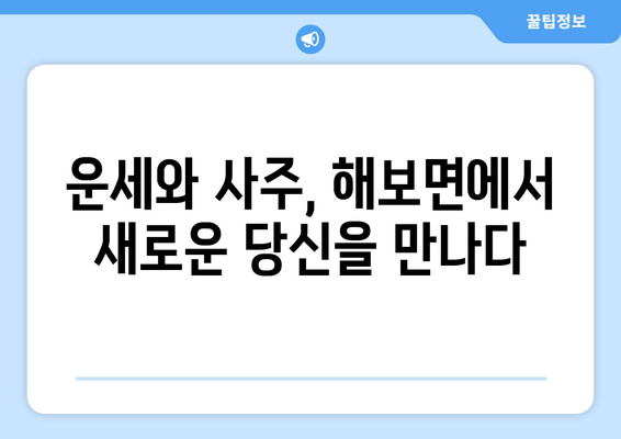 전라남도 함평군 해보면 사주| 지역 특색 담은 나의 운명 이야기 | 사주풀이, 운세, 전남 함평, 해보면