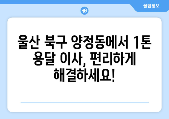 울산 북구 양정동 1톤 용달이사 전문 업체 추천 | 저렴하고 안전한 이사, 지금 바로 확인하세요!