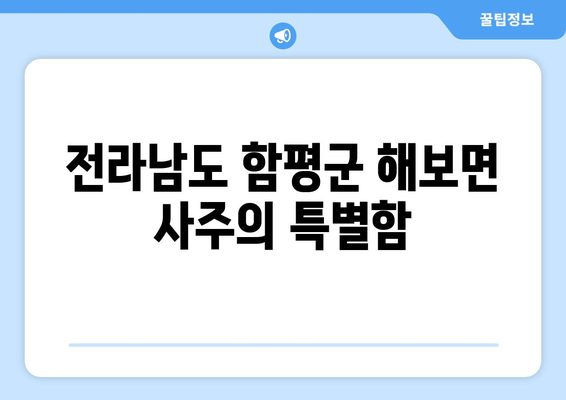 전라남도 함평군 해보면 사주| 지역 특색 담은 나의 운명 이야기 | 사주풀이, 운세, 전남 함평, 해보면