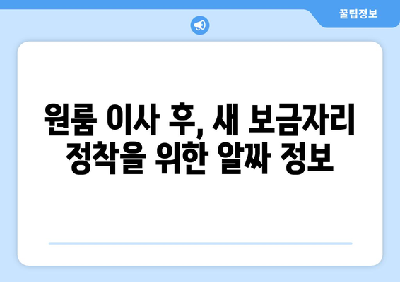 강원도 원주시 호저면 원룸 이사, 짐싸기부터 새 집 정착까지 완벽 가이드 | 원룸 이사, 이삿짐센터, 비용, 꿀팁