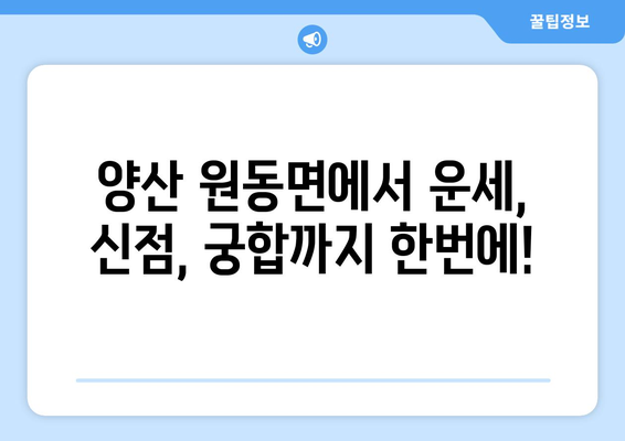 경상남도 양산시 원동면 사주| 유명한 사주 명인과 추천 정보 | 양산 사주, 원동면, 운세, 신점, 궁합