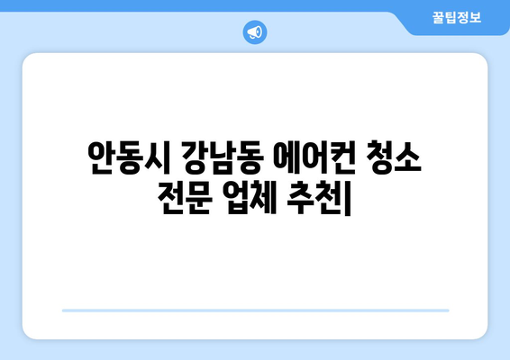 안동시 강남동 에어컨 청소 전문 업체 추천 | 에어컨 청소 비용, 후기, 예약