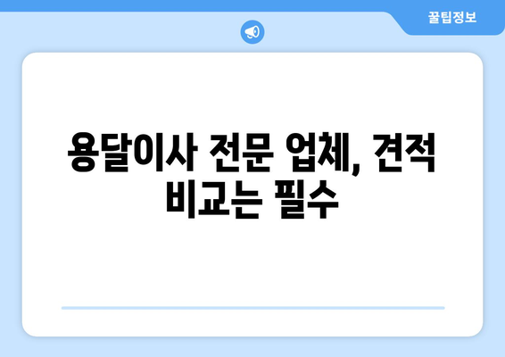 전라남도 영광군 대마면 용달이사 전문 업체 비교 가이드 | 저렴하고 안전한 이삿짐센터 찾기